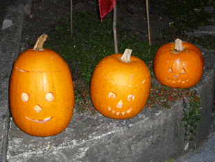 TVK Monsternacht