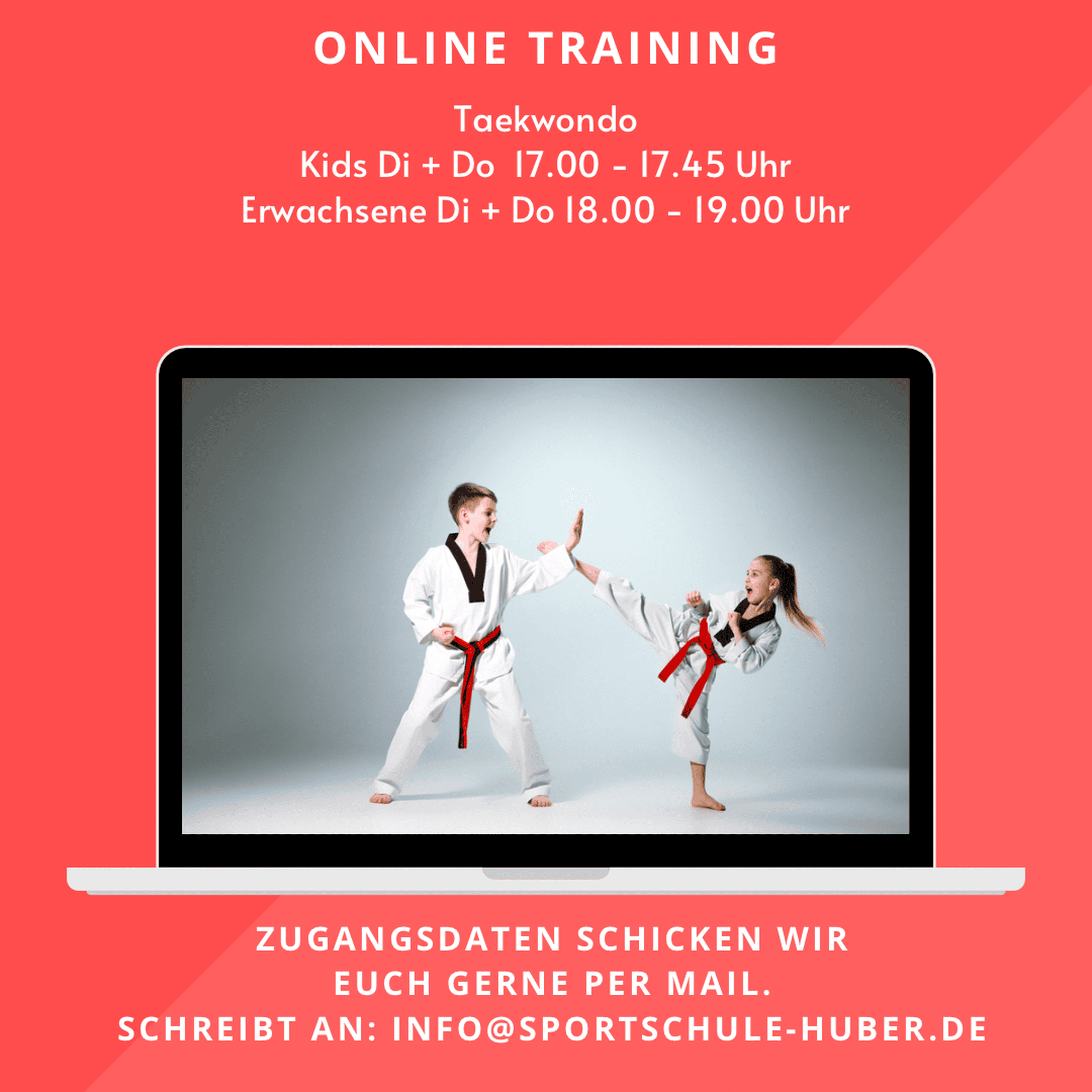Taekwondo Onlinetraining