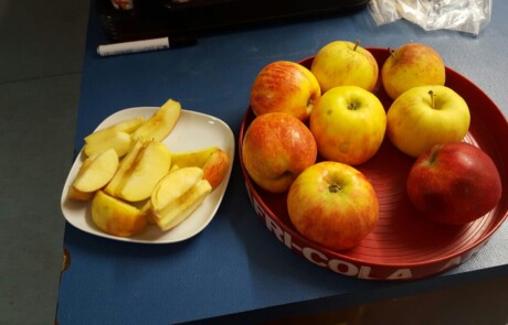 TVK – Aktion in den Herbstferien