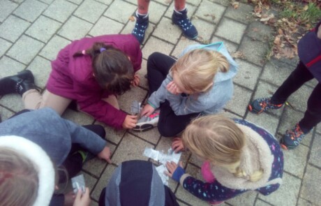 spielerische Schatzsuche