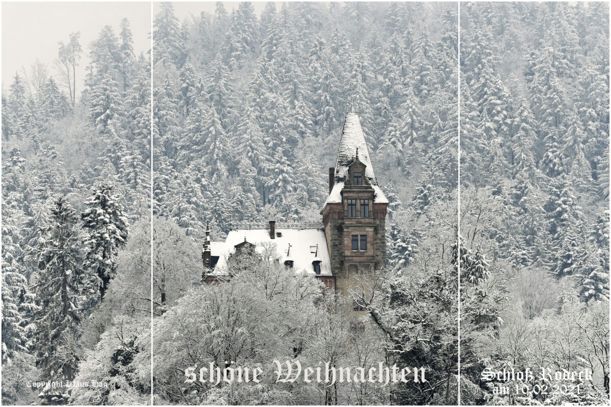 4873_Weihnachtskarte Weihnachtsgrüße